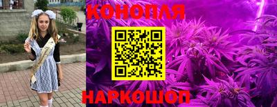 тгк Новодвинск