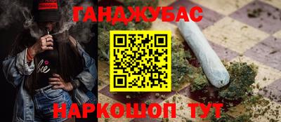 тгк Новодвинск