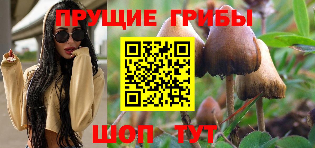 Артёмовский  Галлюциногенные грибы мицелий  Вход с VPN 